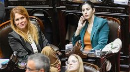 Lemoine y Pagano Congreso 09102025