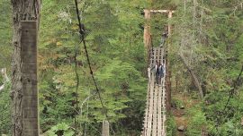 guia_para_descubrir_el_bolson