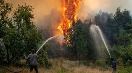 Incendios patagonicos 2025 2026