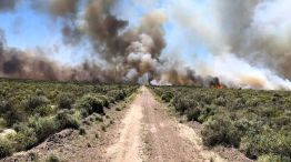 Incendios patagonicos 2025 2026