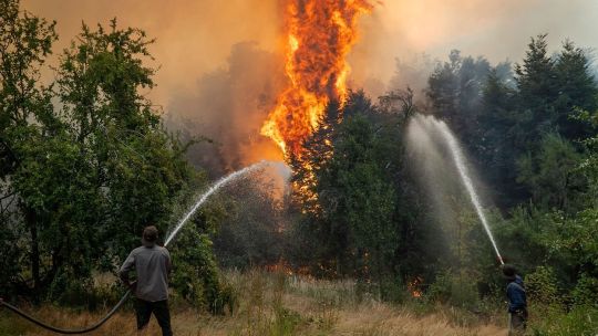 Incendios destruyen 6 mil hectáreas en Córdoba: ruralistas exigen acción inmediata