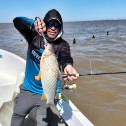 La boga está con nosotros y es un plan ideal para pescarla en los próximos meses. Junto a bagres de mar, dorados, corvinas y pejerreyes, hay múltiples especies para disfrutar del río más ancho del mundo. 