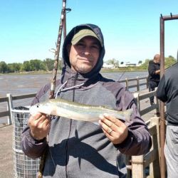 En cercanías de Punta Lara se erigen dos clubes de pesca como el Universitario y el Municipalizado, ambos con buenos piques. En este último, ya con la chance de lisas en el cajón, aunque aún chicas.