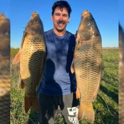 La carpa ya se volvió una atracción para los balcarceños desde hace un tiempo. La especie es la favorita para miles de niños y adultos y la encuentran en cualquier arroyo de la región.