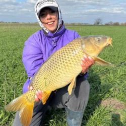 La carpa ya se volvió una atracción para los balcarceños desde hace un tiempo. La especie es la favorita para miles de niños y adultos y la encuentran en cualquier arroyo de la región.