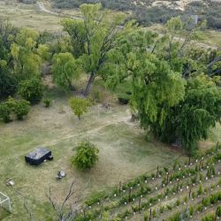 BODEGA AYESTARÁN ALLARD | Foto:contentnoticias