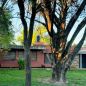 Doble femicidio en Villa Serrana: vecino afirmó que Laurta ya estuvo "preso" en 2024 y que dormía en el techo de la casa