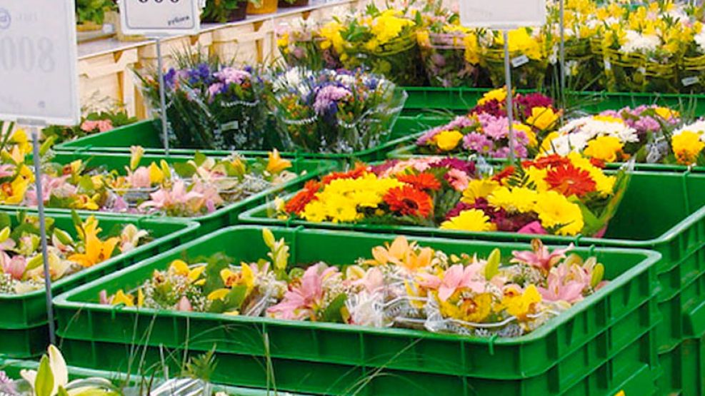 Envíos y Logística - Flores