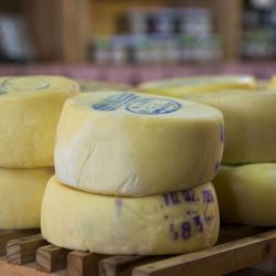 Quesos artesanales en O'Higgins, Chile.