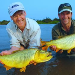 Tigres de los ríos de una forma no tan habitual: vadeando. Estrategias, lugares y claves para tener éxito con esta deportiva especie cazadora.  