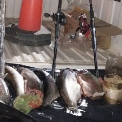 Estas acciones buscan hacer cumplir la normativa provincial y preservar los recursos naturales de la zona, como la trucha arcoíris y la trucha marrón.