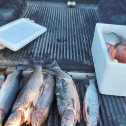 Estas acciones buscan hacer cumplir la normativa provincial y preservar los recursos naturales de la zona, como la trucha arcoíris y la trucha marrón.