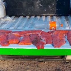 Estas acciones buscan hacer cumplir la normativa provincial y preservar los recursos naturales de la zona, como la trucha arcoíris y la trucha marrón.