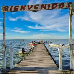 Se propone a la Dirección de Actividades Pesqueras y Acuicultura dependiente del Ministerio de Desarrollo Agrario de la Provincia, la posibilidad de hacer una prueba piloto para el año 2026 y adelantar la veda 30 días.