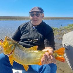 Sorprende la calidad de los dorados para lo que es la zona, con capturas que rondaron los 7 kilos y los 75 cm, verdaderos lingotes dorados que despiertan la atracción de los aficionados. 