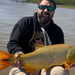 Sorprende la calidad de los dorados para lo que es la zona, con capturas que rondaron los 7 kilos y los 75 cm, verdaderos lingotes dorados que despiertan la atracción de los aficionados. 