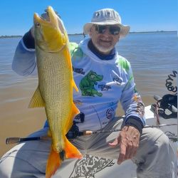 Sorprende la calidad de los dorados para lo que es la zona, con capturas que rondaron los 7 kilos y los 75 cm, verdaderos lingotes dorados que despiertan la atracción de los aficionados. 