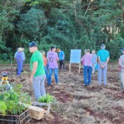Este año se están sumando 152 nuevas hectáreas para proteger al yaguareté en Misiones.eñe