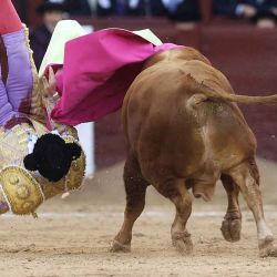 El torero español Morante de la Puebla es zarandeado por un toro durante su corrida en la Feria de Otoño de la plaza de toros de Las Ventas, Madrid, el 12 de octubre de 2025. | Foto:afp