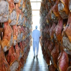 Un empleado controla la curación de los jamones en una de las fábricas de jamón de San Daniele, en San Daniele del Friuli, al noreste de Italia. | Foto:STEFANO RELLANDINI / AFP