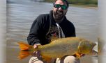 Dorados de excelente porte, el plan principal de los pescadores en Ramallo