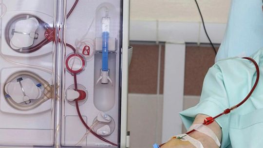 Donación de órganos 14102025