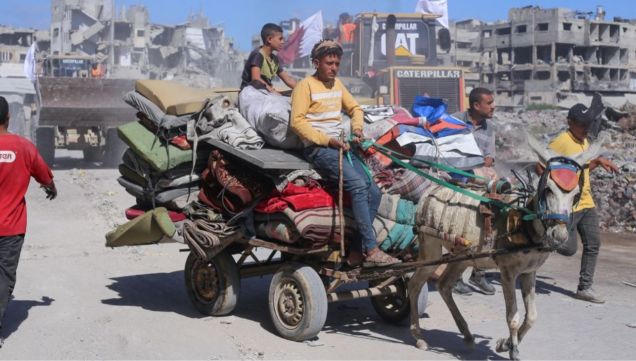 Personas desplazadas en Gaza transportan sus pertenencias en un carro tirado por burros