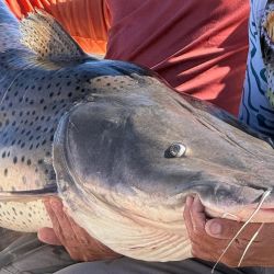 Los pescadores destacaron que la captura fue parte de una jornada de pesca con devolución, una práctica cada vez más extendida entre quienes disfrutan de este deporte en el litoral argentino.
