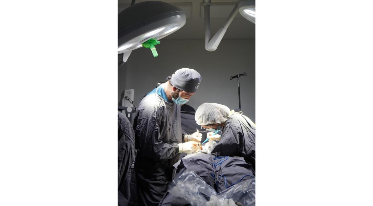 MELA el secreto exprés para decirle chau a la grasita rebelde