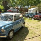 Fiat 600: el auto que motorizó a la Argentina cumple 70 años