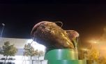 Pescados muertos en cestos de basura, el reflejo de la obligación de sacrificarlos
