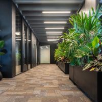 Plan.ar Arquitectura: Habitar los espacios de trabajo actuales