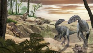 Nuevo dino en La Rioja