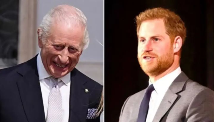 El pedido del príncipe Harry a su padre, para cuidar a Meghan Markle