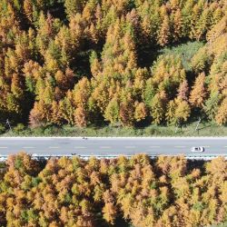 Vista aérea tomada con un dron de un paisaje otoñal, en el distrito de Weiyuan, en la ciudad de Dingxi de la provincia de Gansu, en el noroeste de China. | Foto:Xinhua/Wang Kexian