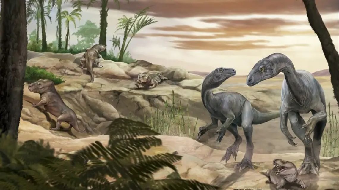 A paleontological team led by the institute found the almost complete skeleton of the small long-necked reptile, named Huayracursor Jaguensis.