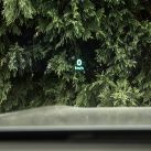 Renault Koleos E-Tech Hybrid Sprit Alpine