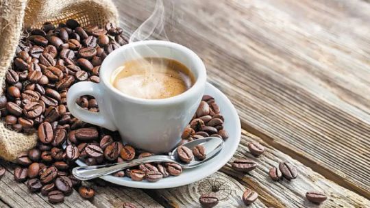 Tucumán avanza como el nuevo polo cafetero de Argentina: “Tenemos condiciones parecidas al café colombiano”