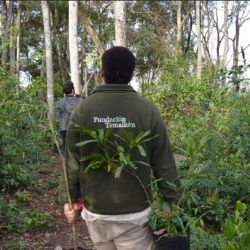 La reserva se encuentra en San Ignacio, Misiones.