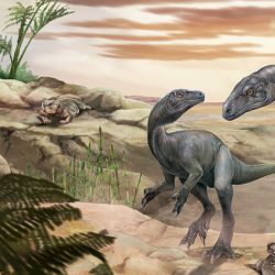 Representación gráfica del dinosaurio encontrado en La Rioja.