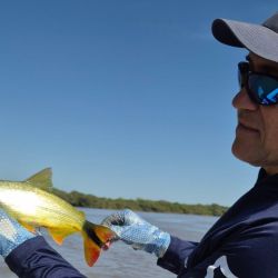 El apacible clima es la gran novedad que trae el próximo fin de semana, con promesa de buen pique en todo el país.