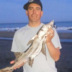 El apacible clima es la gran novedad que trae el próximo fin de semana, con promesa de buen pique en todo el país.