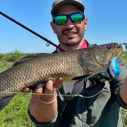El apacible clima es la gran novedad que trae el próximo fin de semana, con promesa de buen pique en todo el país.