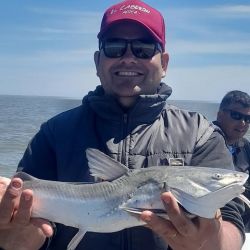 El apacible clima es la gran novedad que trae el próximo fin de semana, con promesa de buen pique en todo el país.