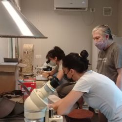 Los especialistas de Temaikén, en plena labor. 