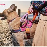 Mascotas Mimadas presenta en exclusiva la colección “Farm Rio” de Zee.Dog