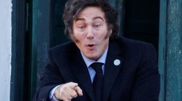 Milei y las encuestas nacionales