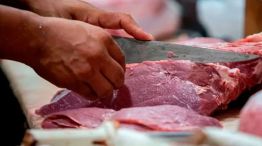 Sergio Pedace: “Hace 40 años tenemos el mismo stock ganadero”