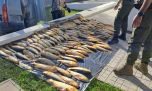 Pesca ilegal: casi 25.000 peces decomisados en 947 operativos en Santa Fe