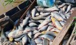 Números que impresionan: más de 23.000 peces decomisados por pesca ilegal en Santa Fe